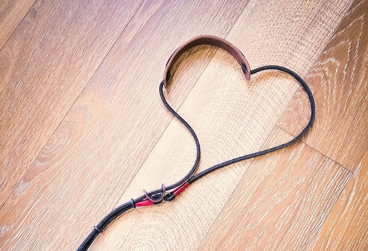 Screen Shot 2015-08-19 at 2.50.07 PM.png