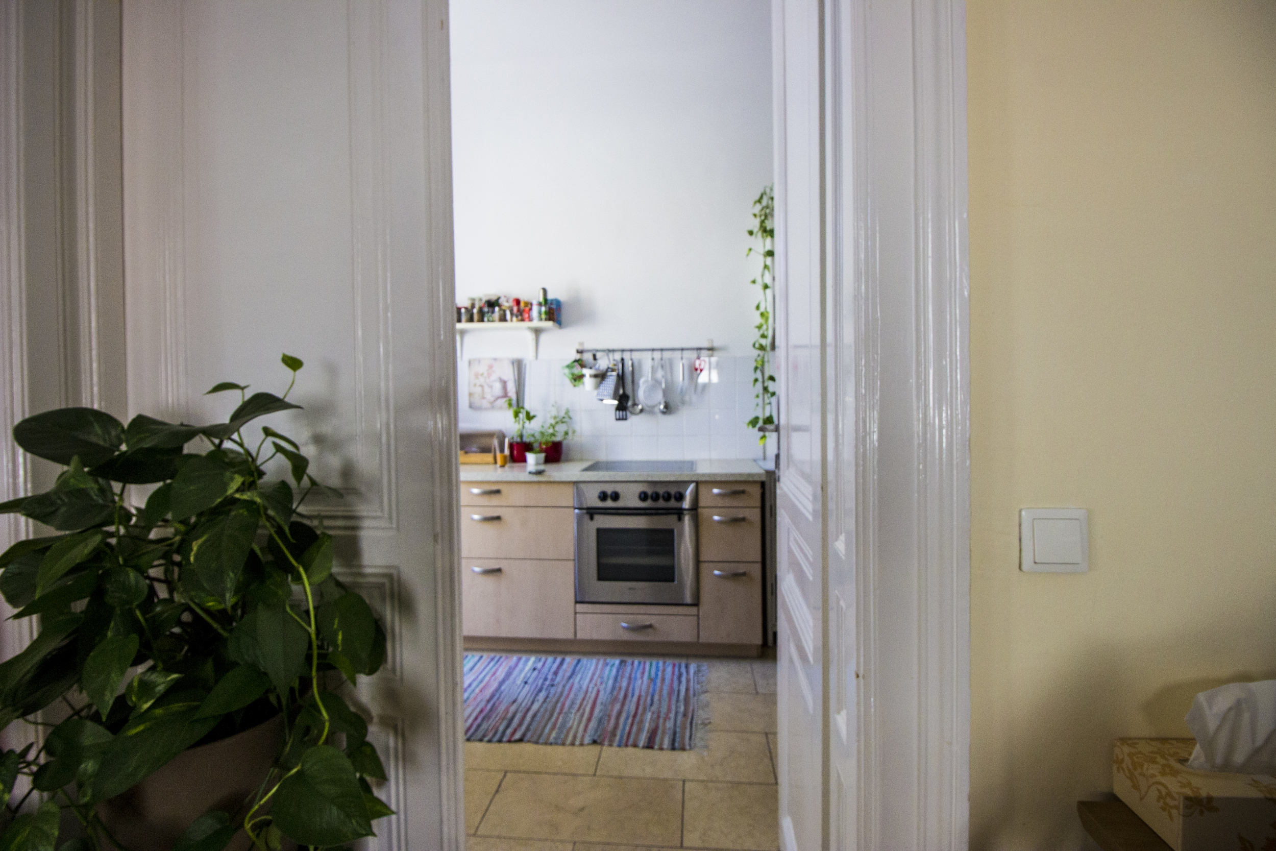 Looking into the kitchen. 