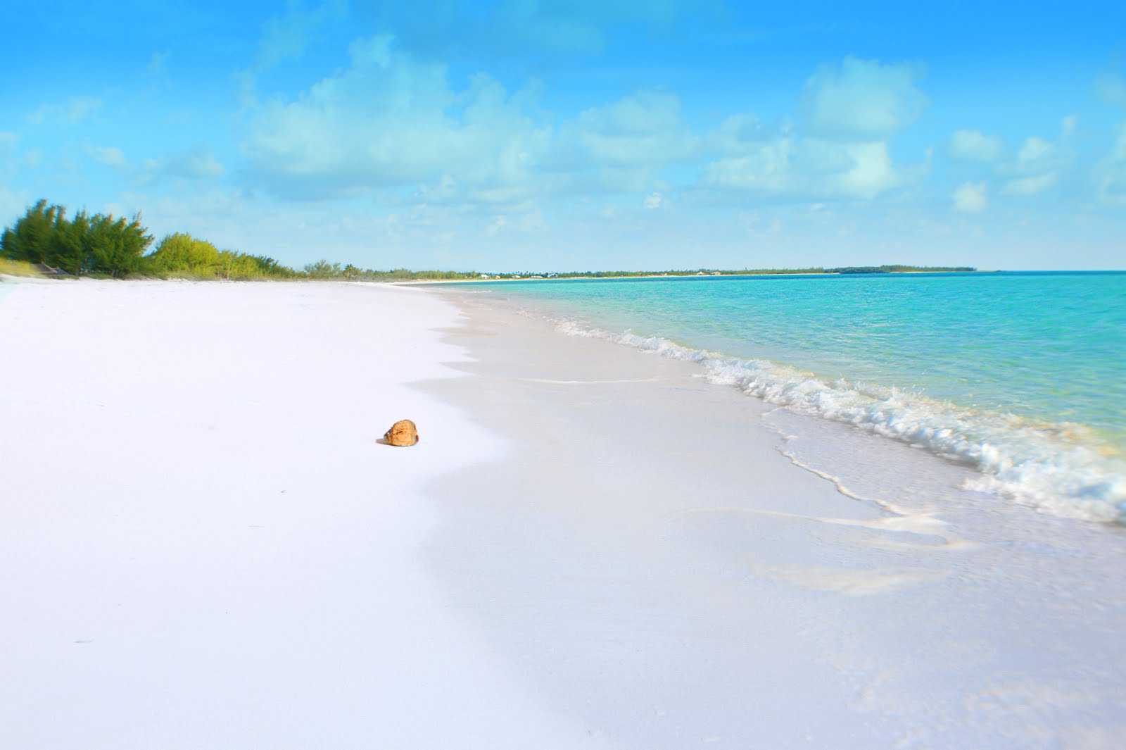 // Perfect Beaches →<p>They're everywhere in the Abacos, so we'll put it this way: if you don't like white sandy beaches, this trip isn't for you.</p>