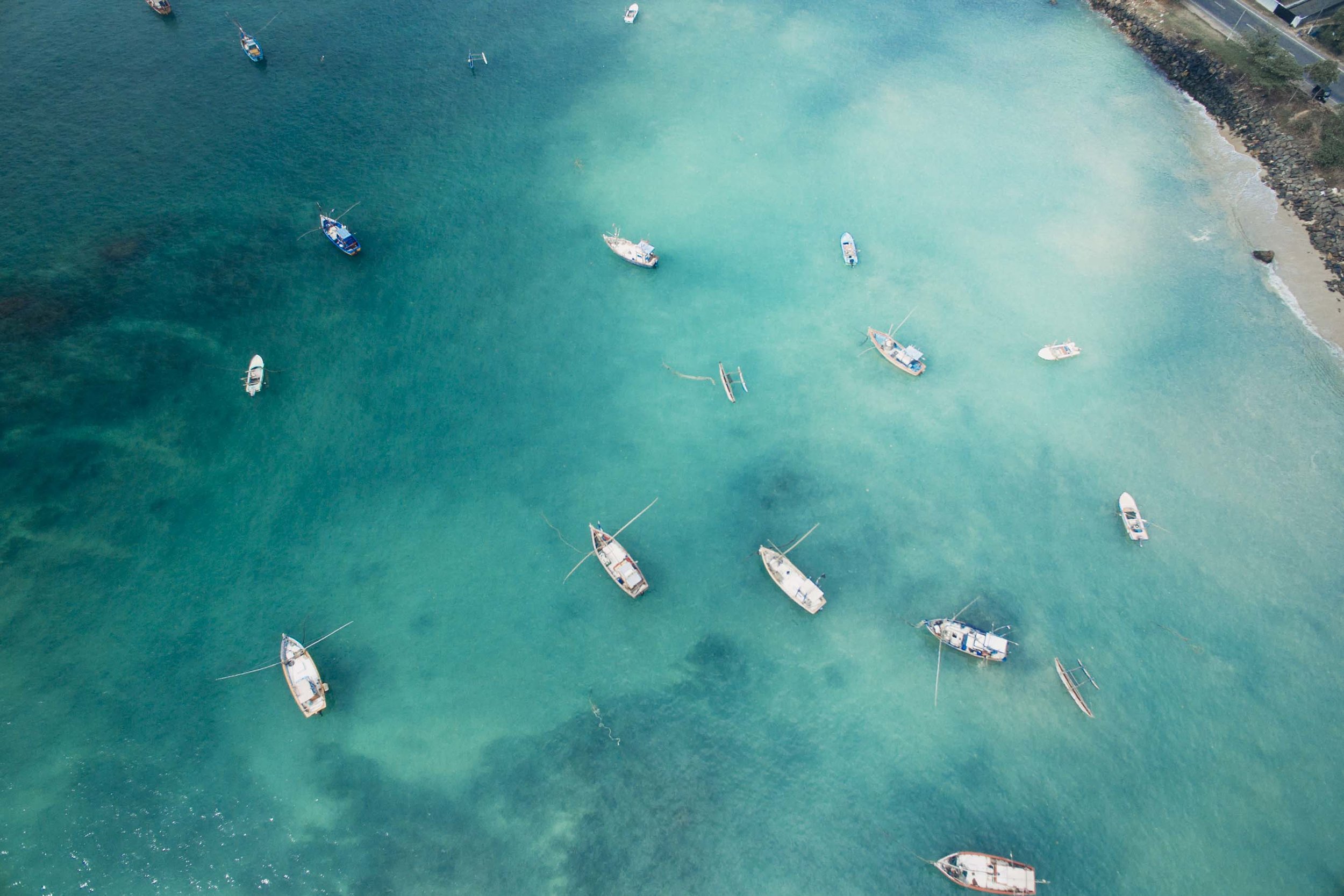 CEYLON SLIDERS, SRI LANKA