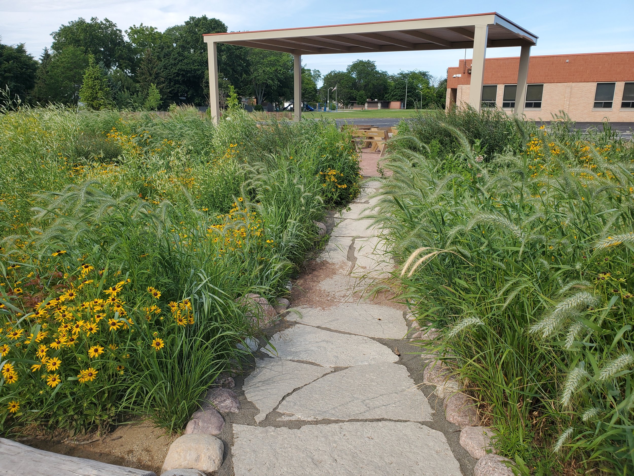 Bioswale and outdoor classroom at a redeveloped schoolyard
