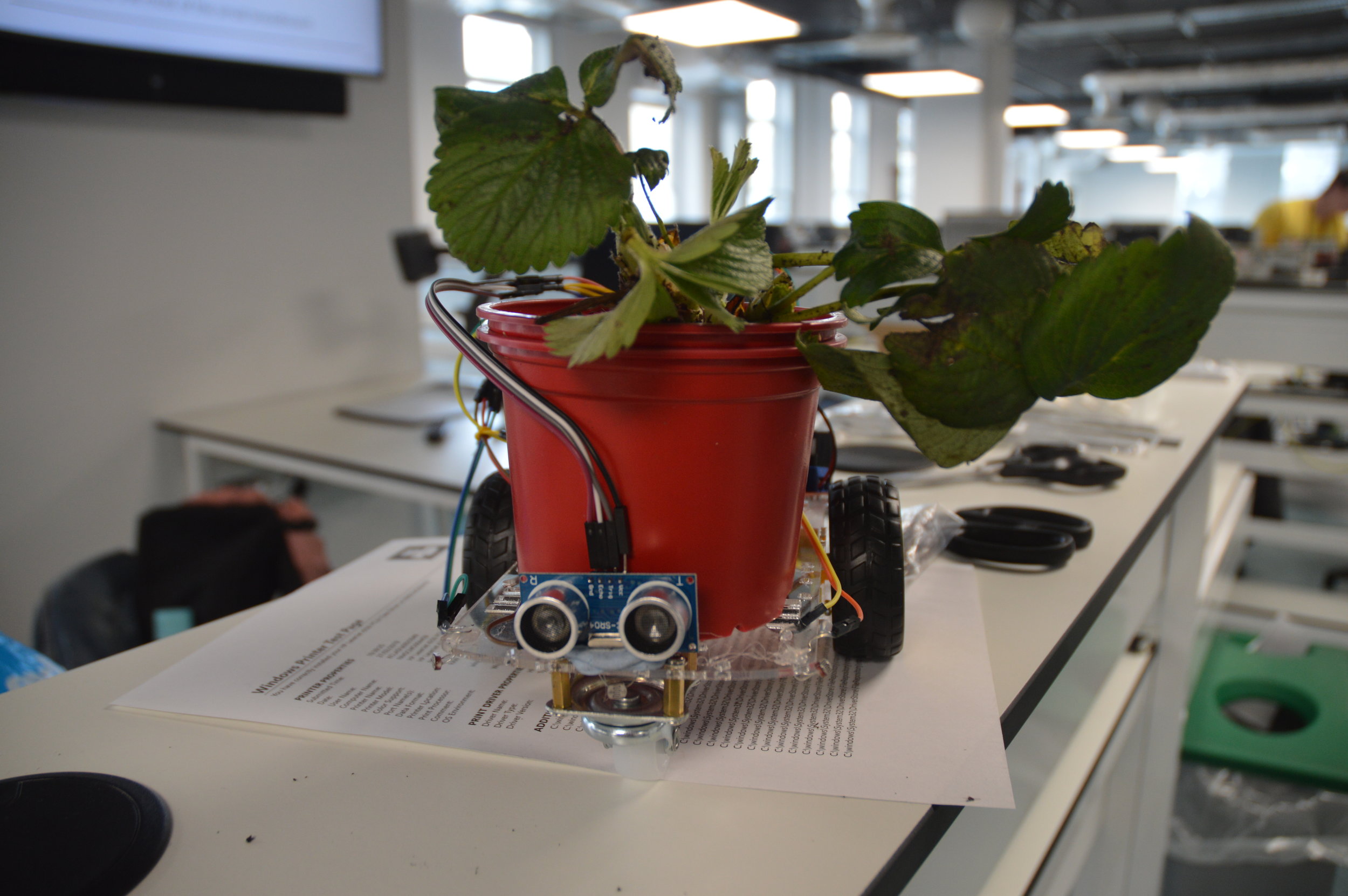 The end-goal mobile growbot w/strawberry plant