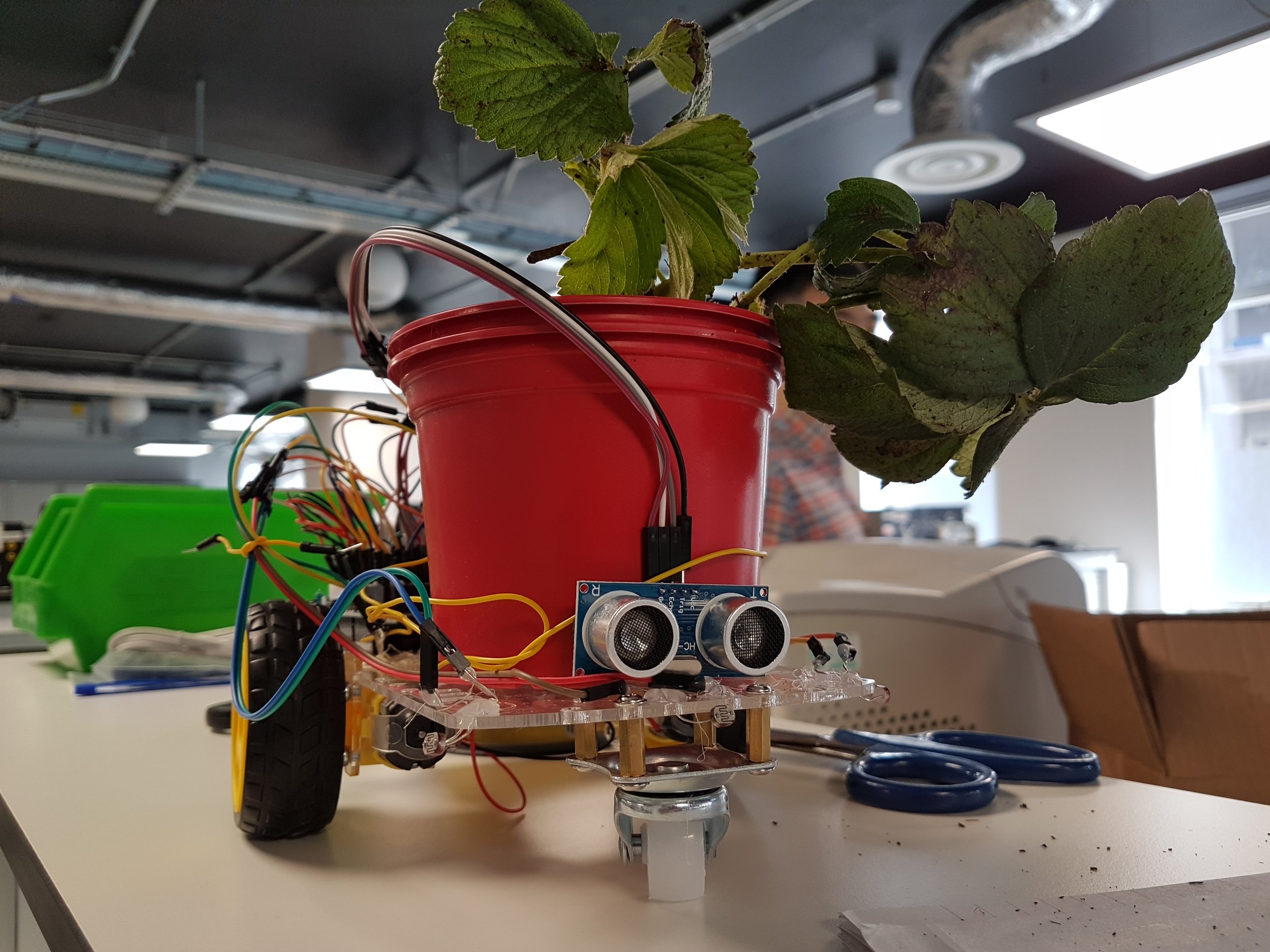 20190418_104841.jpg