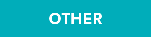 Other-300x75.png