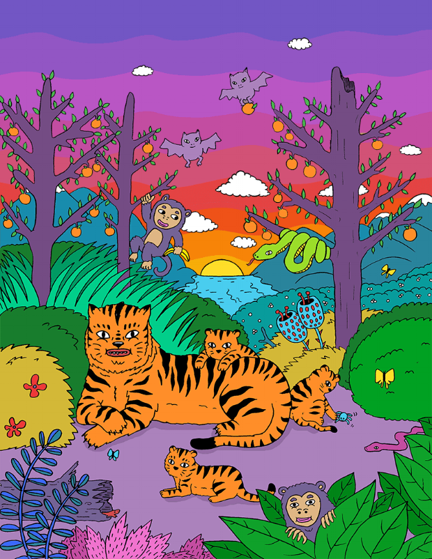 JUNGLE-IN-COLOR_WEB_1.gif