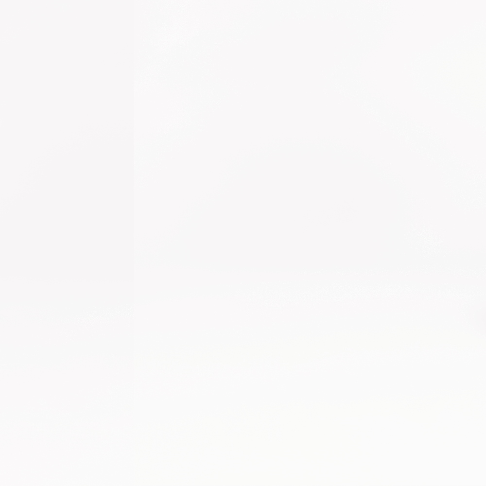 LEMON_2.gif
