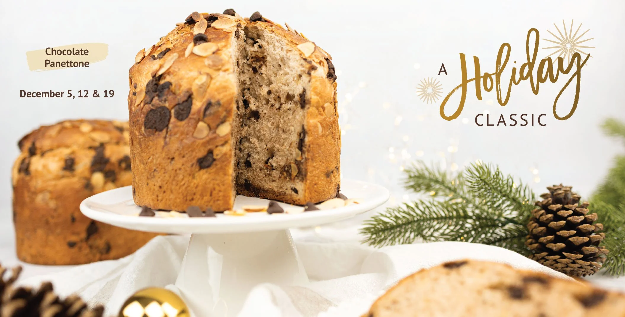 ChocolatePanettone_WebGraphic_2025.jpg