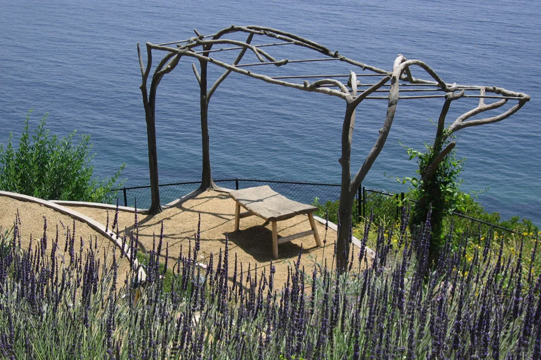 Cliffside Canopy