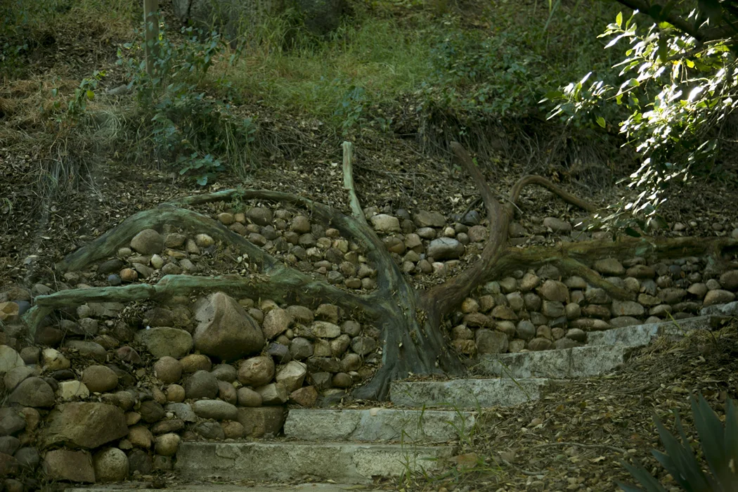 Wall Detail