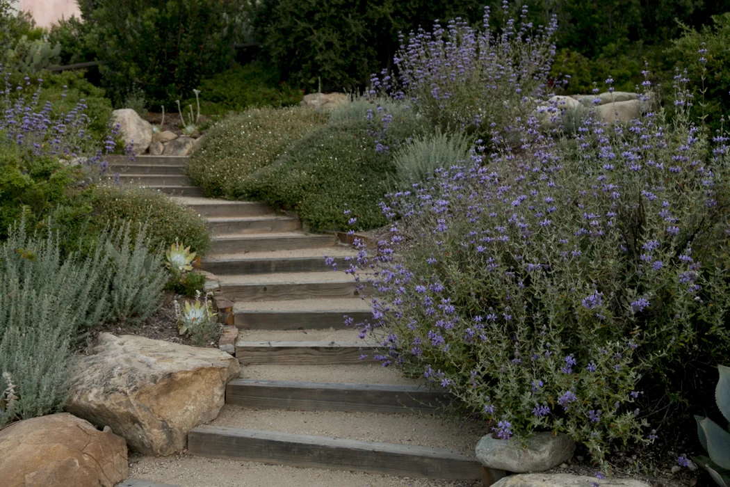 Landscape Timber Staircase