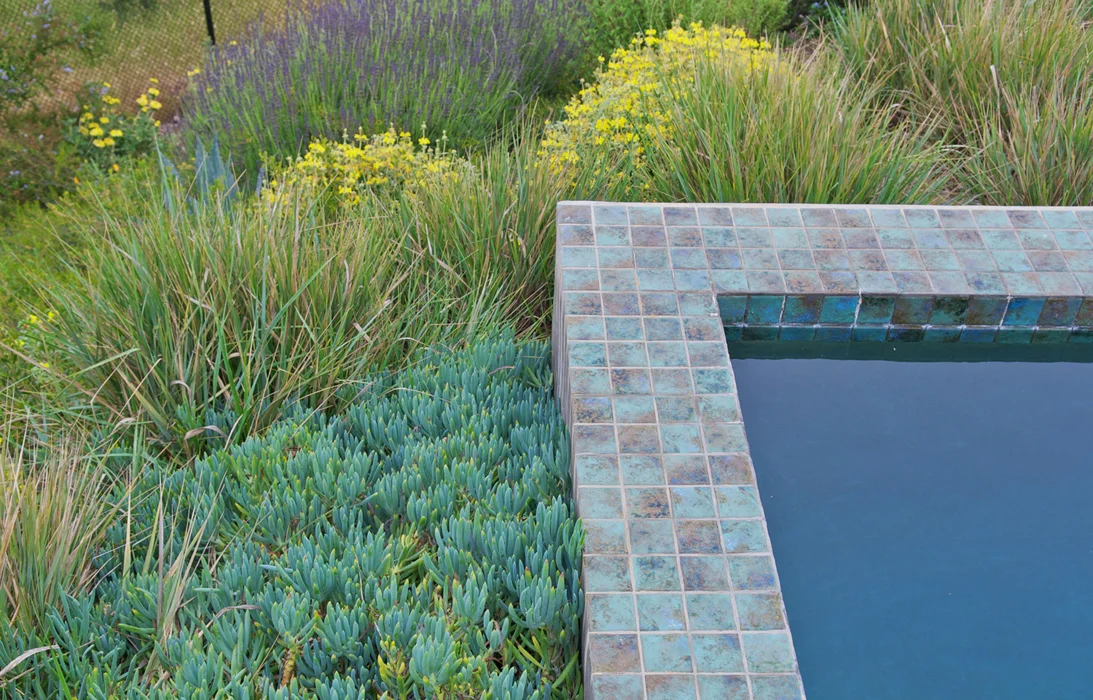 Custom Pool Edge Tile Detail