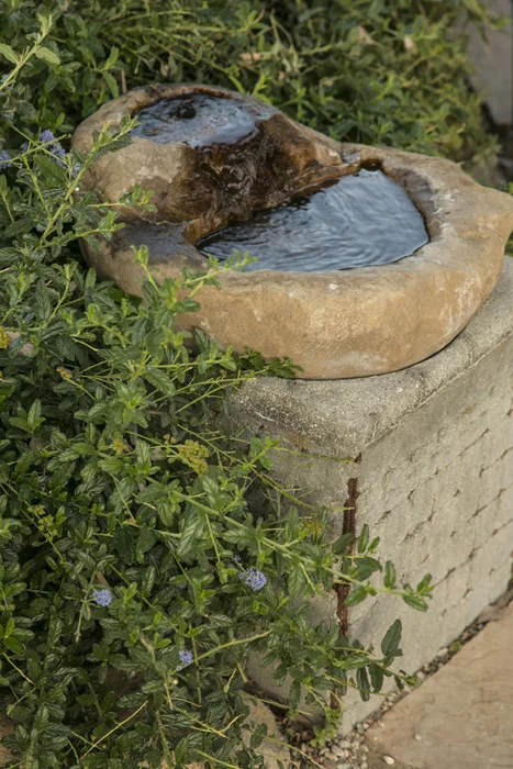 Carved Stone Fountain