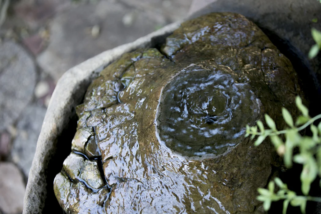 "Lava" Fountain Detail