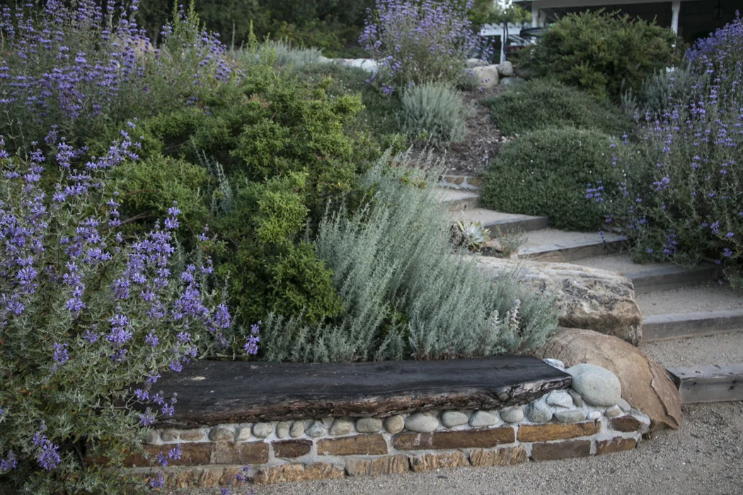 Fallen Tree + Stone Bench