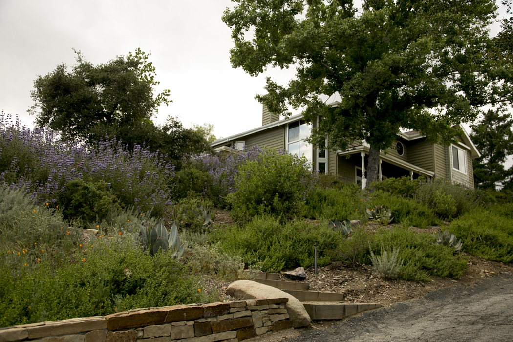 A Hillside Garden Makeover in California - This Old House