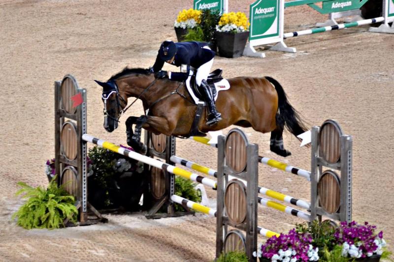 Matt Brown and BCF Belicoso, PC: Eventing Nation
