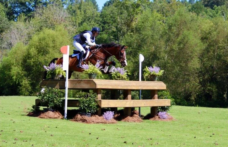 Matt Brown USEA Adequan Gold Cup Advanced Win 2017 with BCF Belicoso, PC Kimmy Durr
