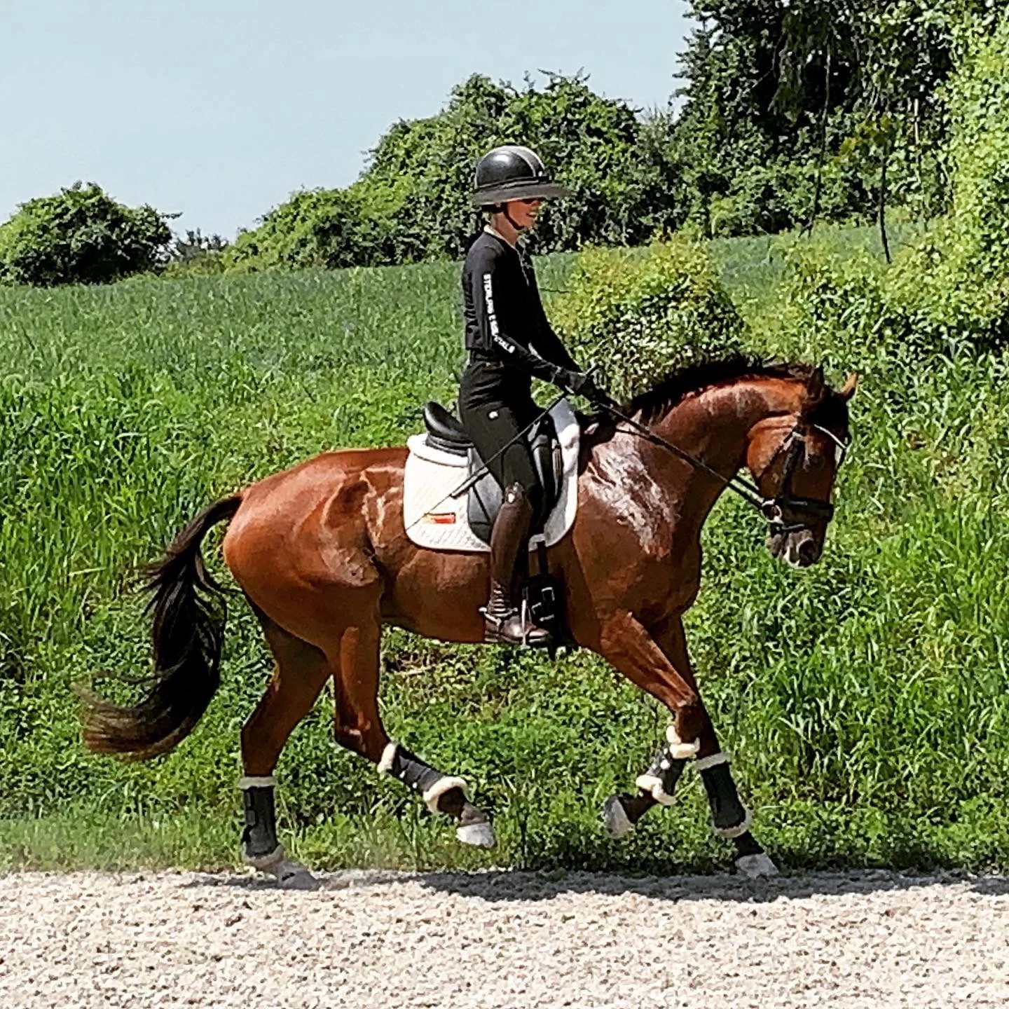 Talented dressage rider and Matt’s wife, Cecily Clark, works together with Matt to keep every horse on their toes and in best form.