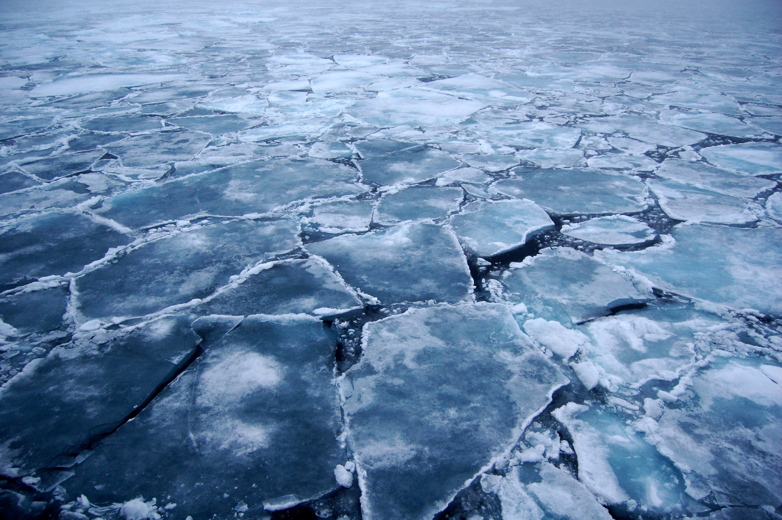 Arctic_Ice_2