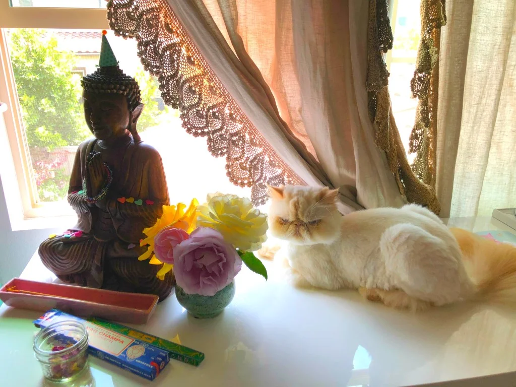 meditation_space_3.jpg