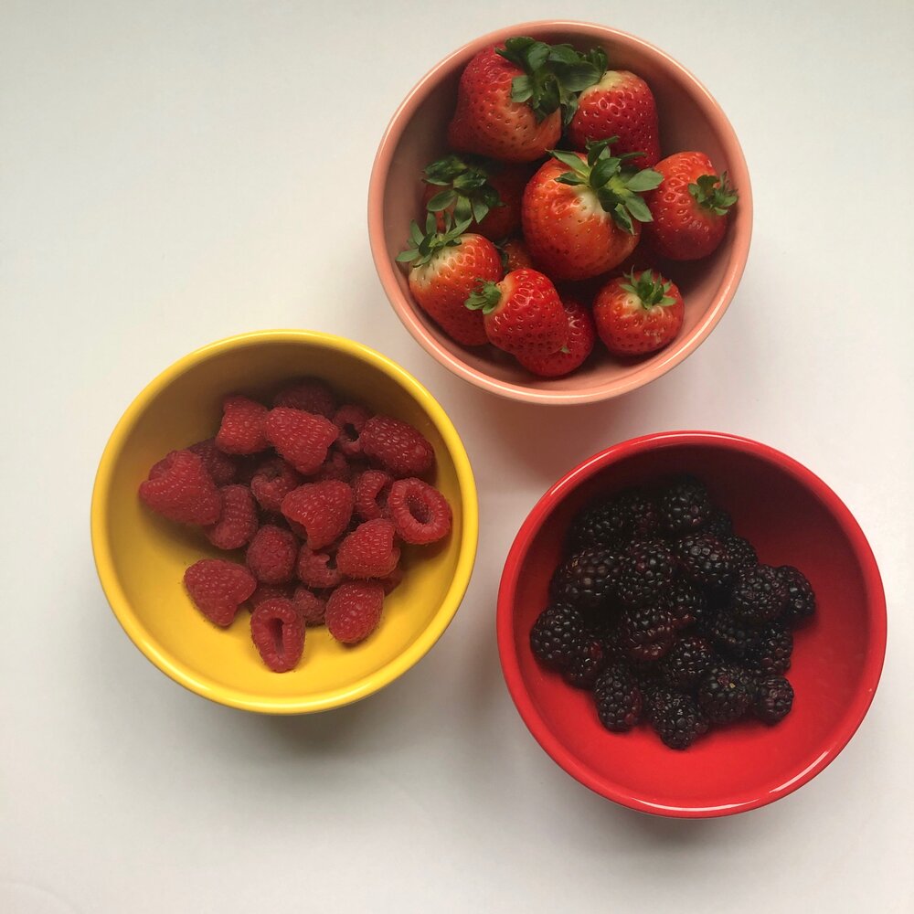 Homemade Berry Fruit roll-Ups 