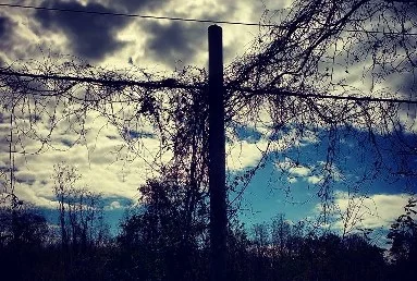 vine geometry2.jpg
