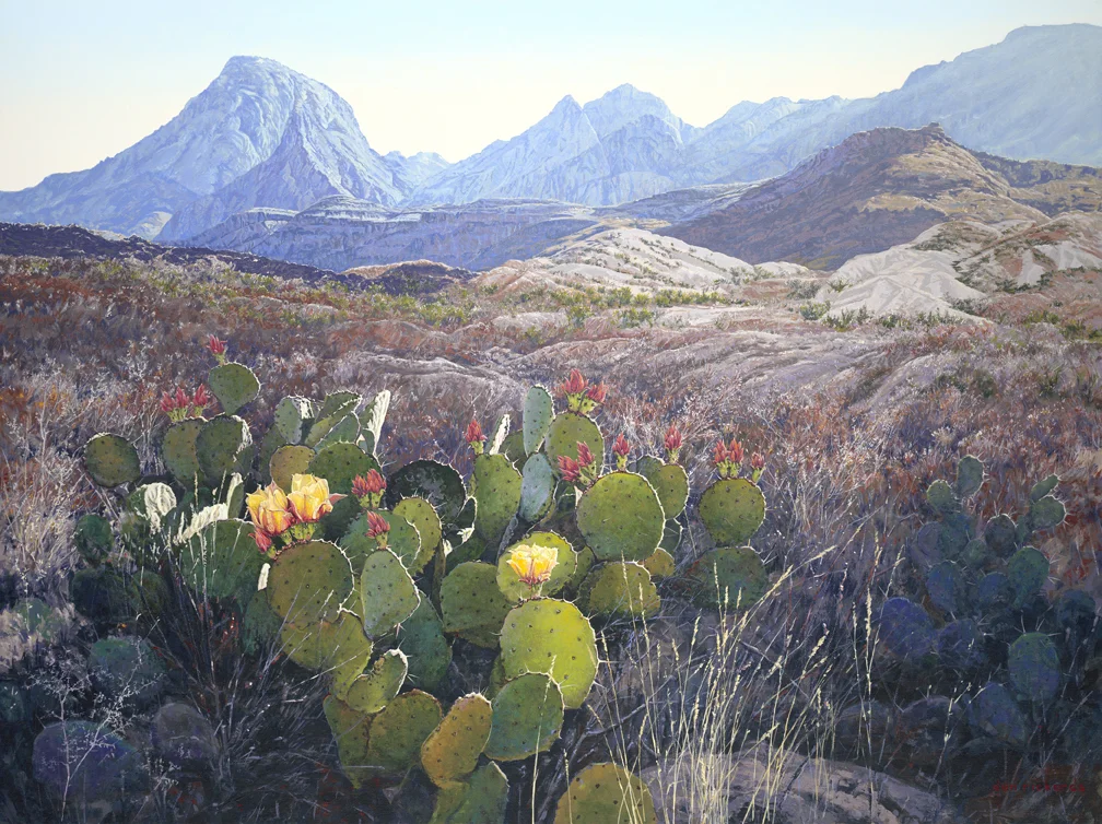 BIG BEND - Big Bend National Park
