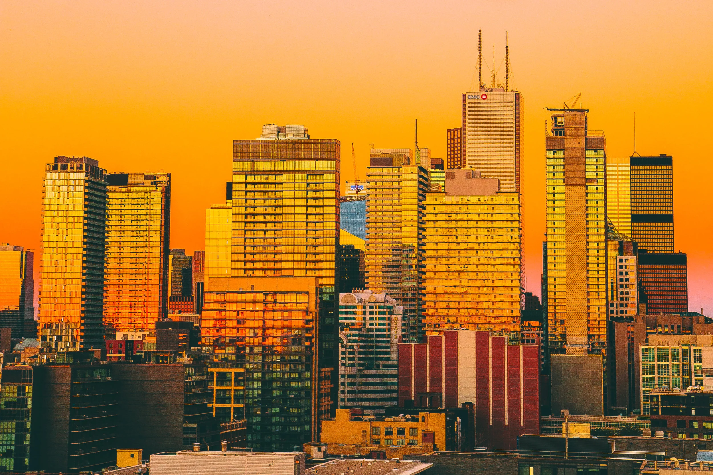 morning Flow  (1 of 1)-5.jpg