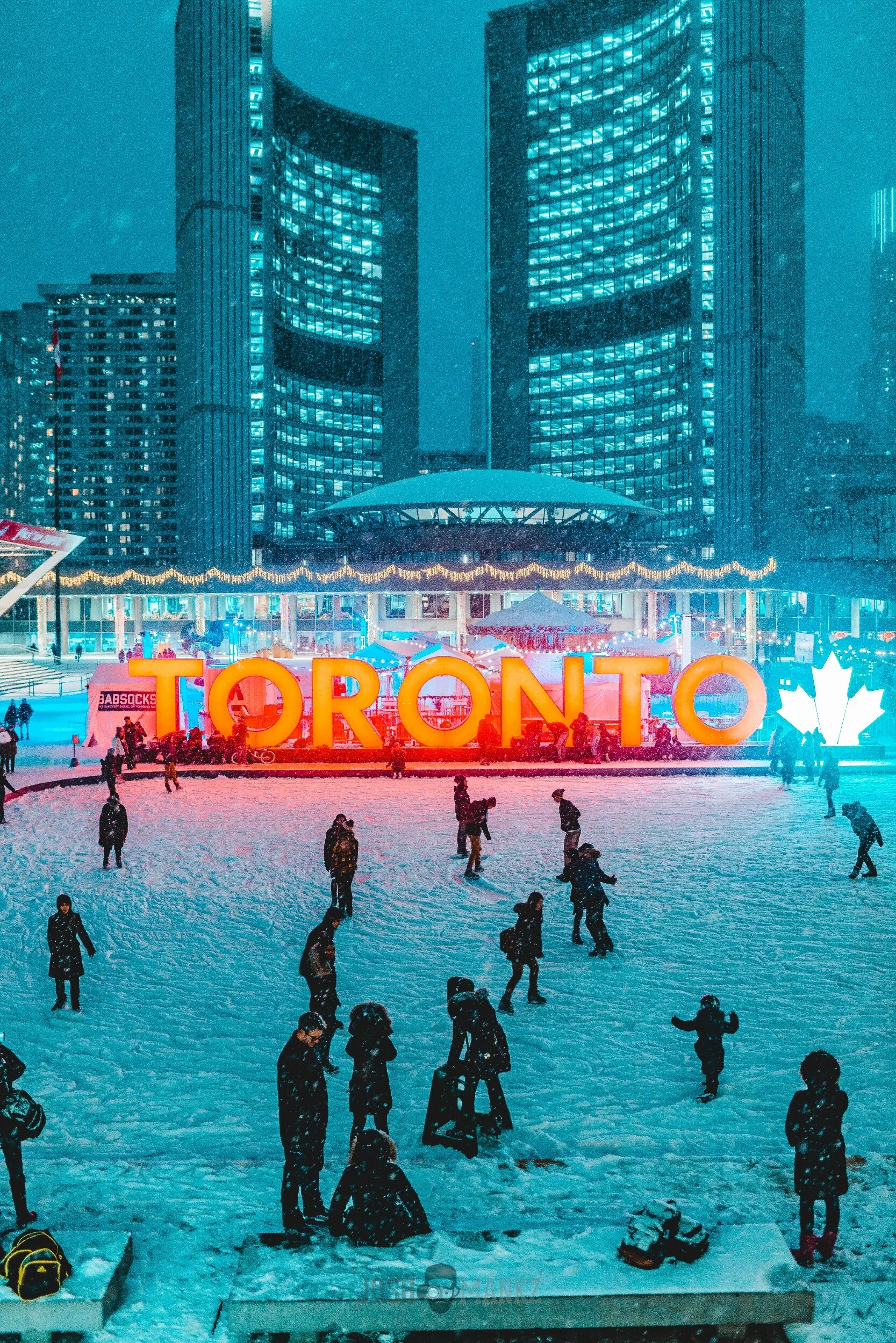 processed_first snowfall of 2017-7145.jpg