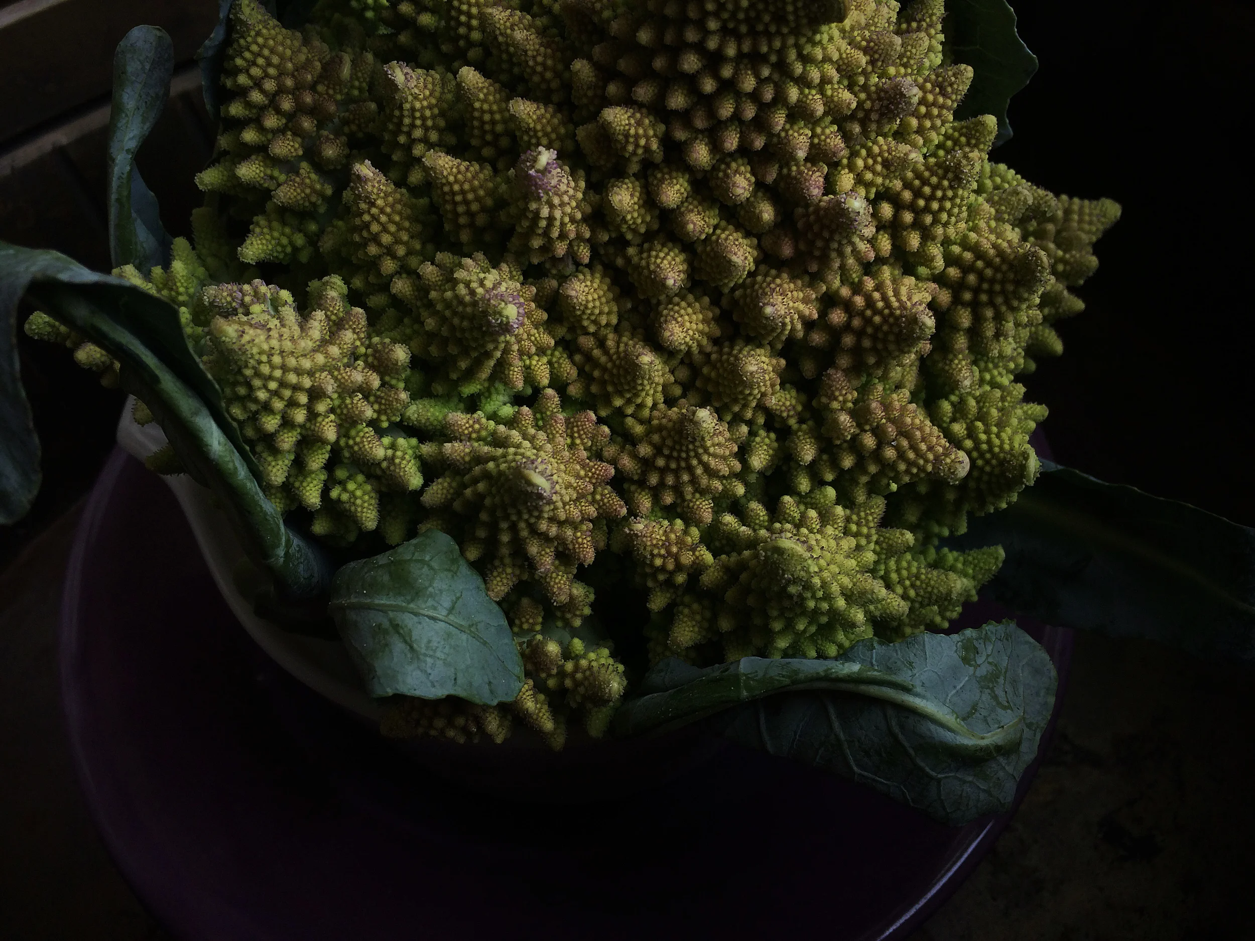 st-pete-food-photography-farm-cauliflower-little-pond-romanesco.jpg