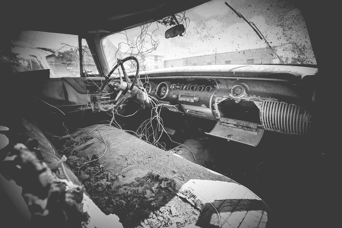 abandoned vintage cars for web holly postler-1.jpg