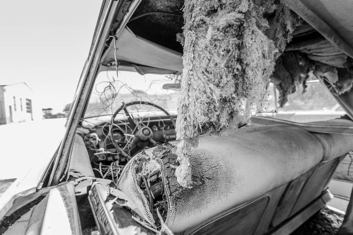abandoned vintage cars for web holly postler-2.jpg