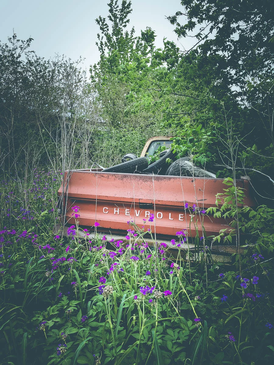 vintage pickup trucks for web holly postler-5.jpg