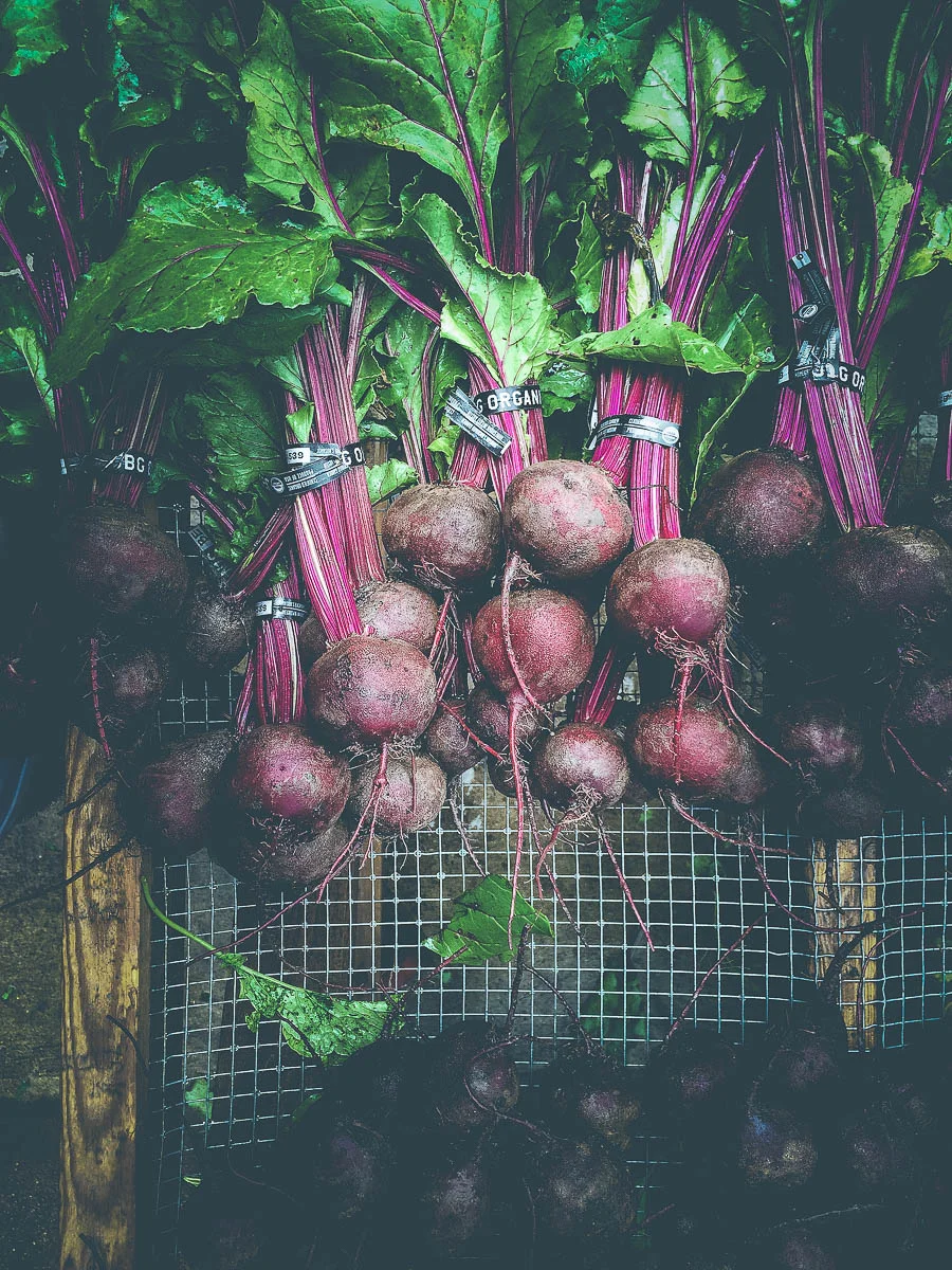 jbg organic washing red beets holly postler-1.jpg