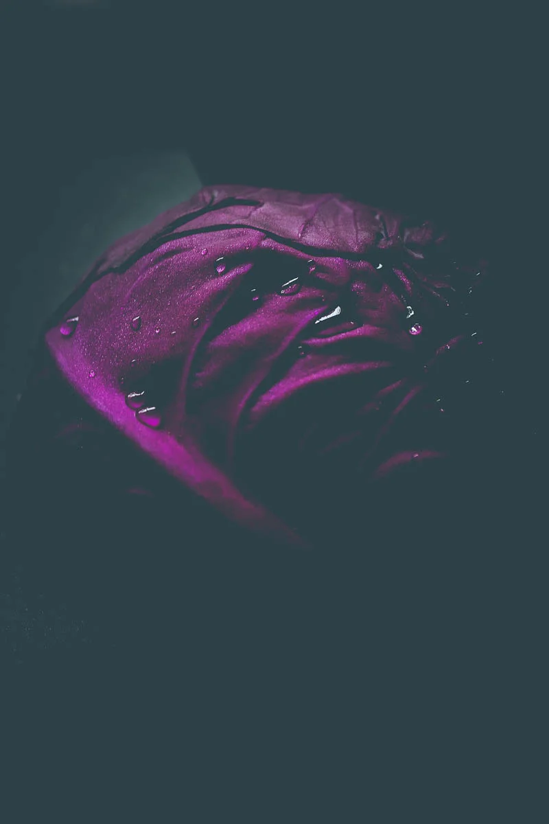 red cabbage from JBG organic by holly postler-2.jpg