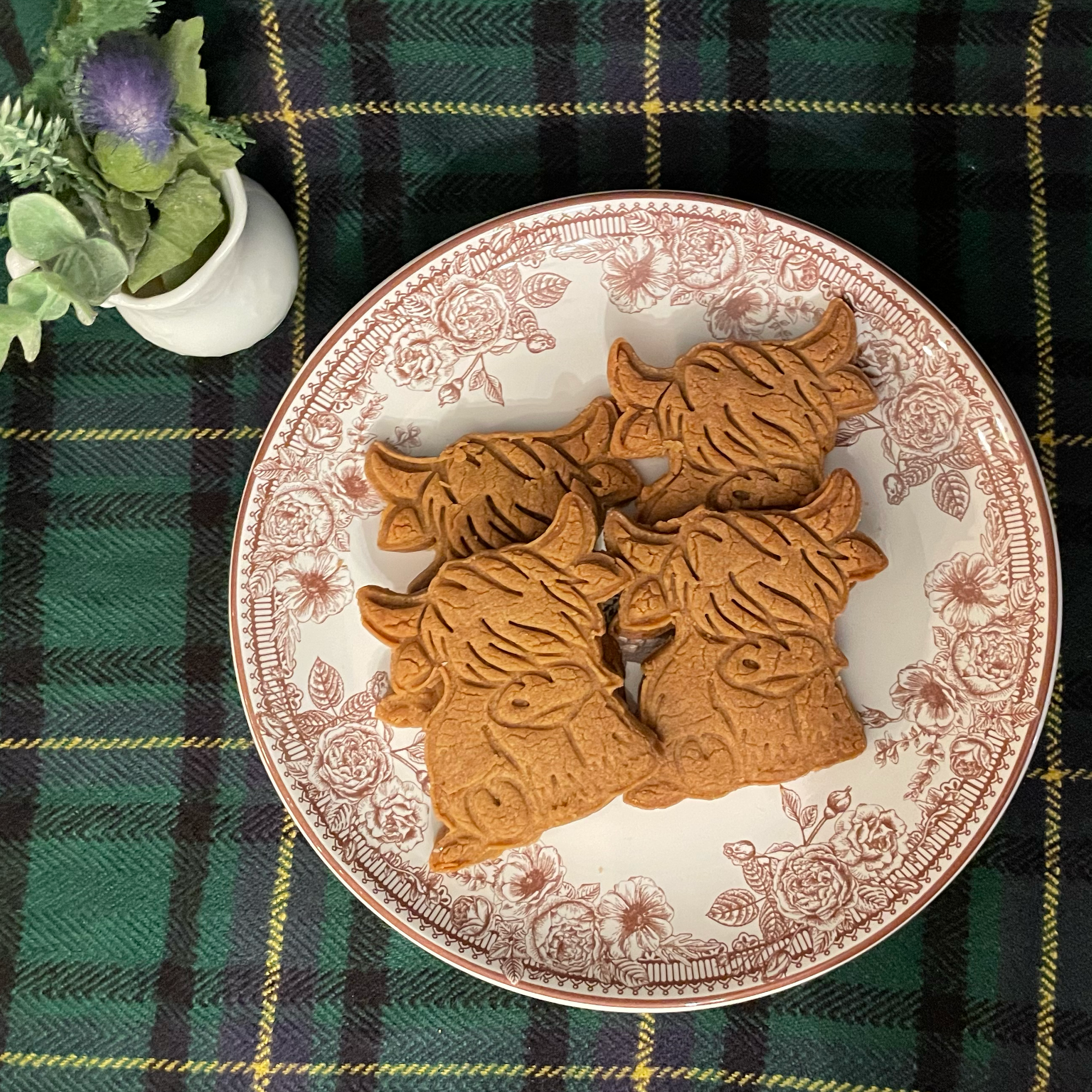 Gingerbread Cows.png