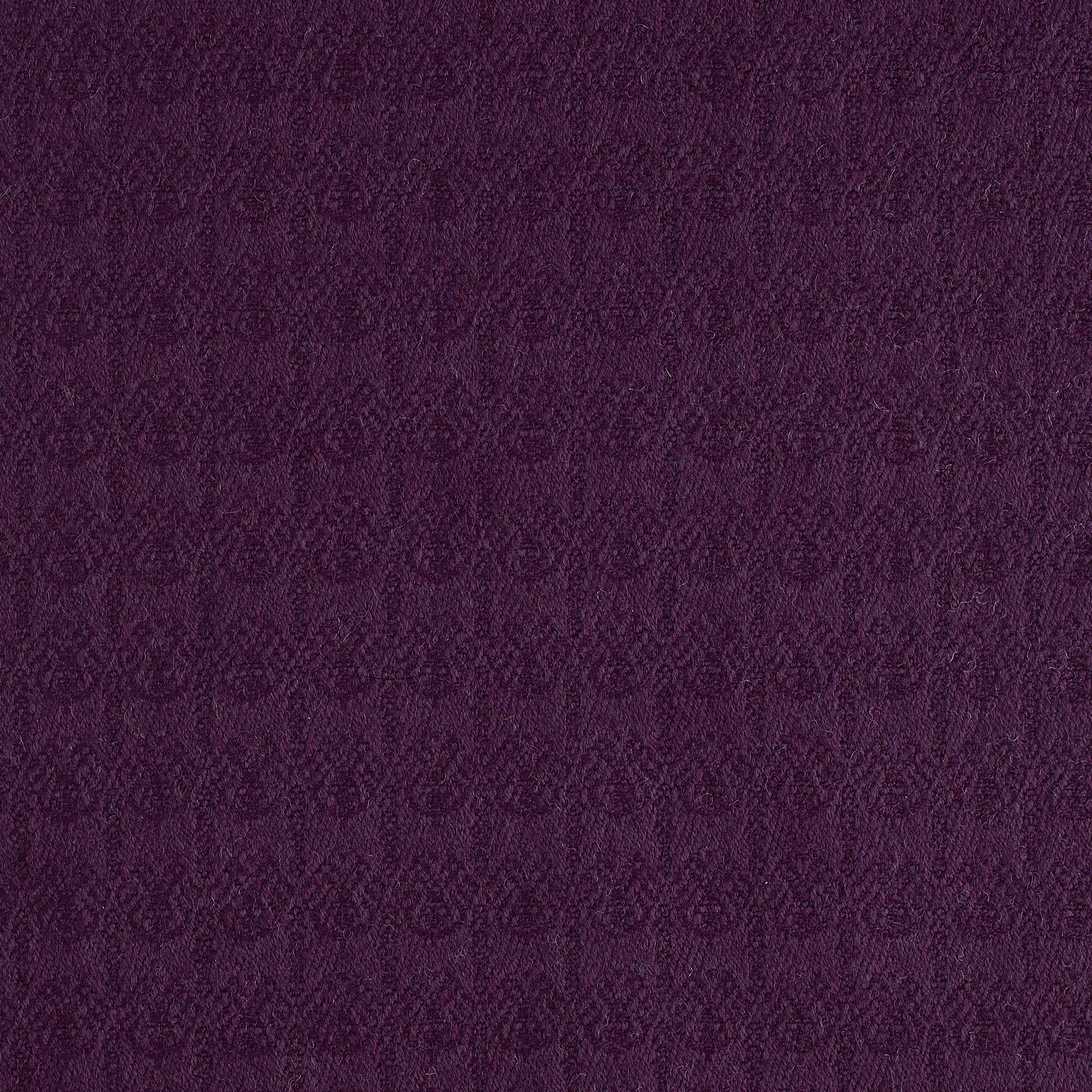 Thistle Alison - Sample