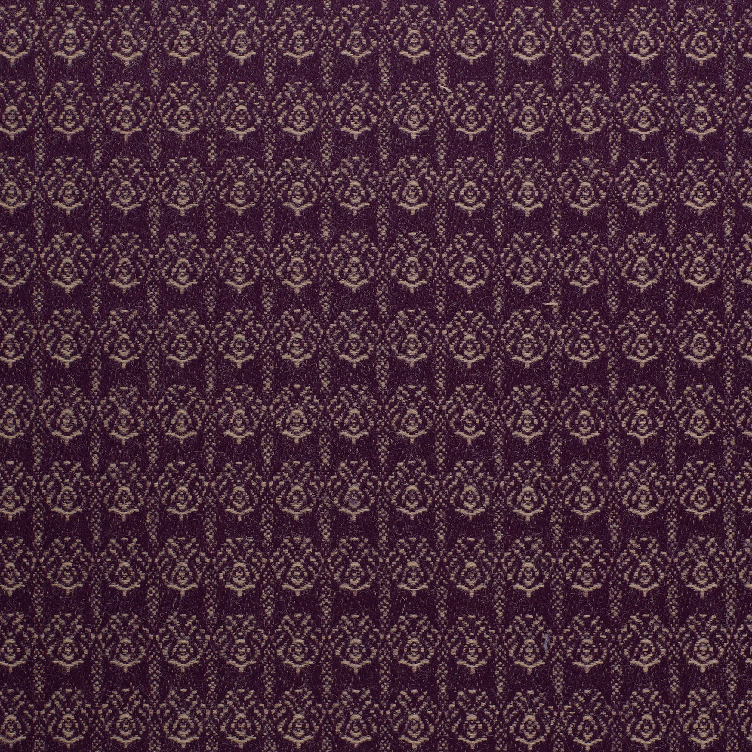 Thistle Dana - Sample