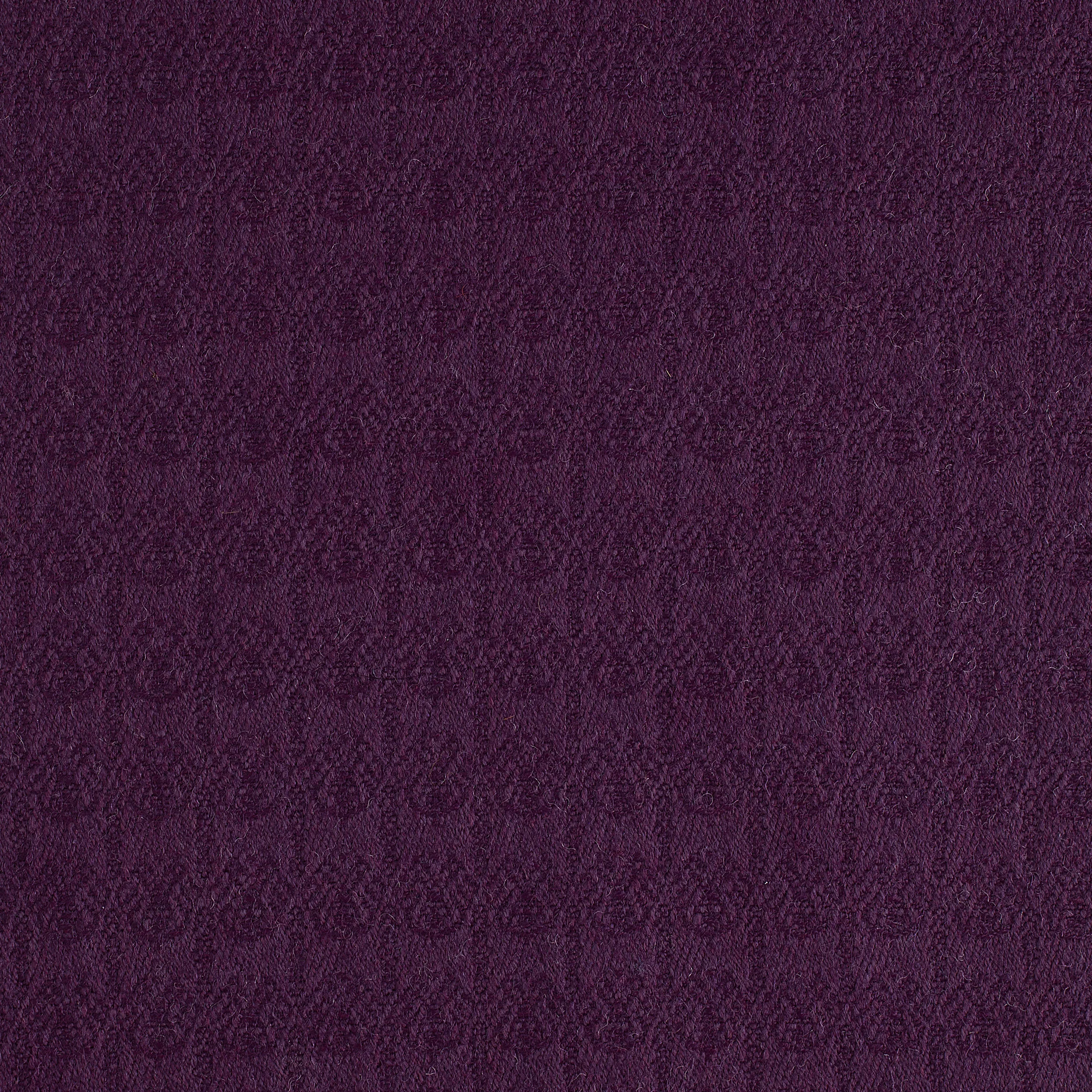 03 Thistle Alison.jpg