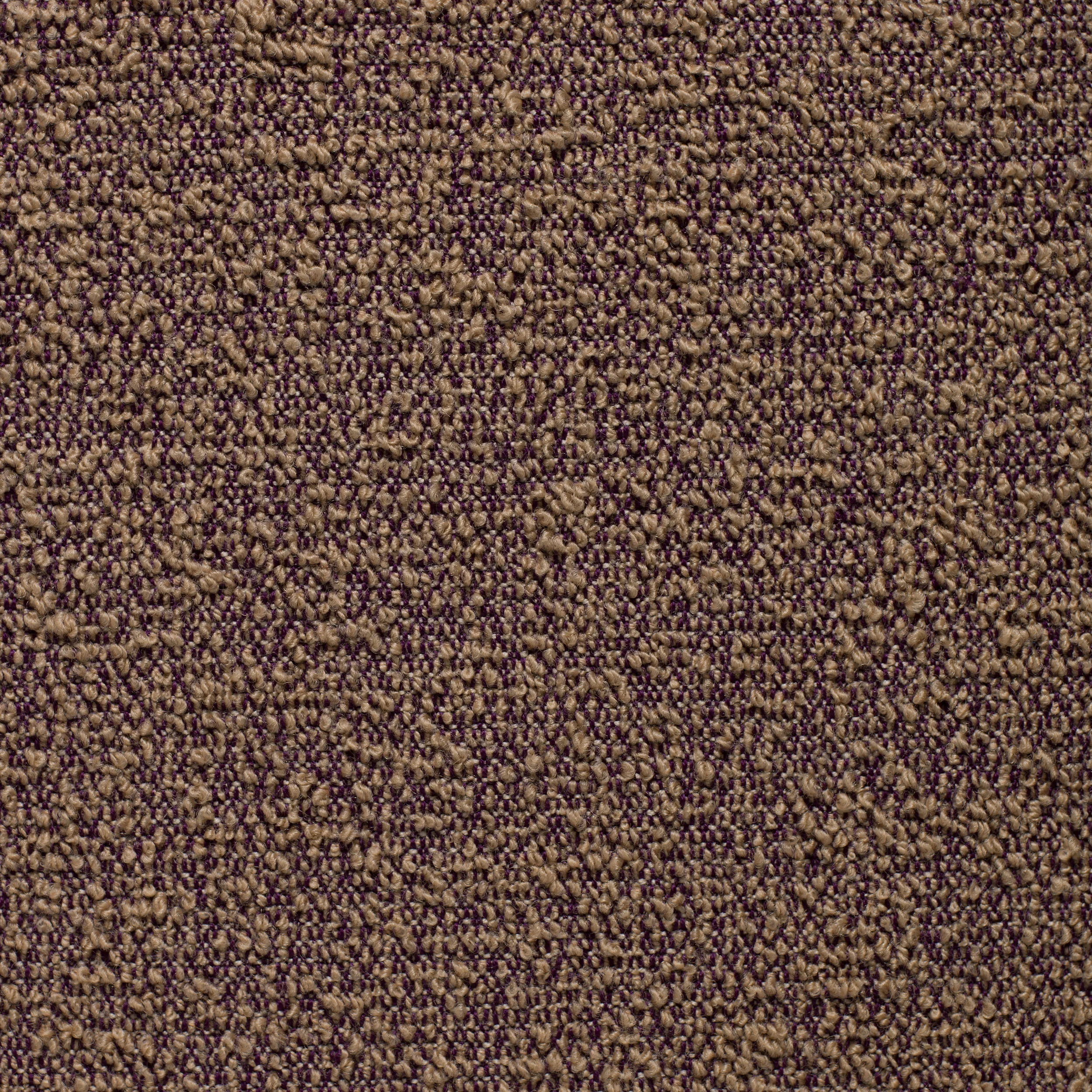 Bilberry - Sample