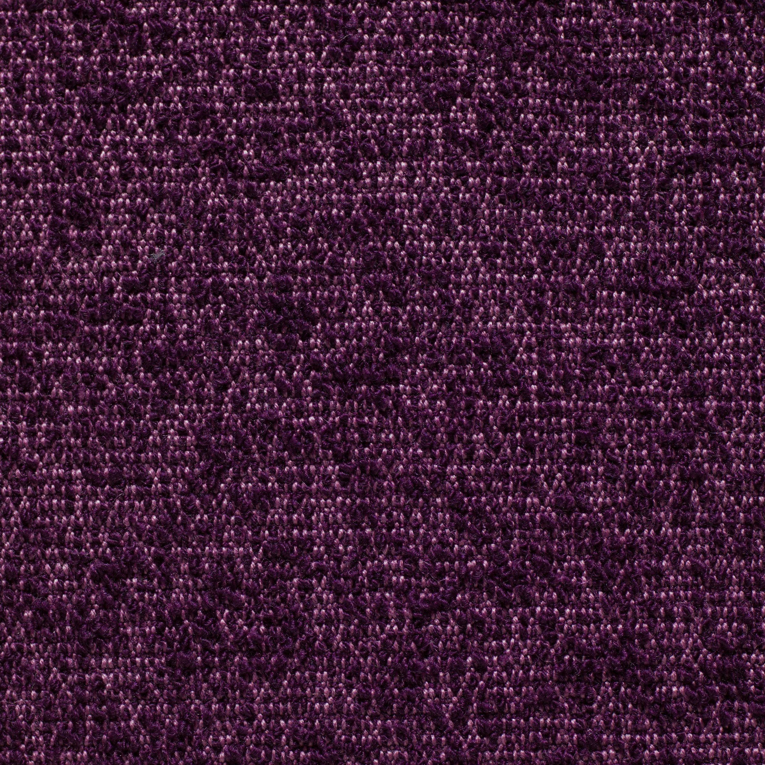 Elderberry - Sample