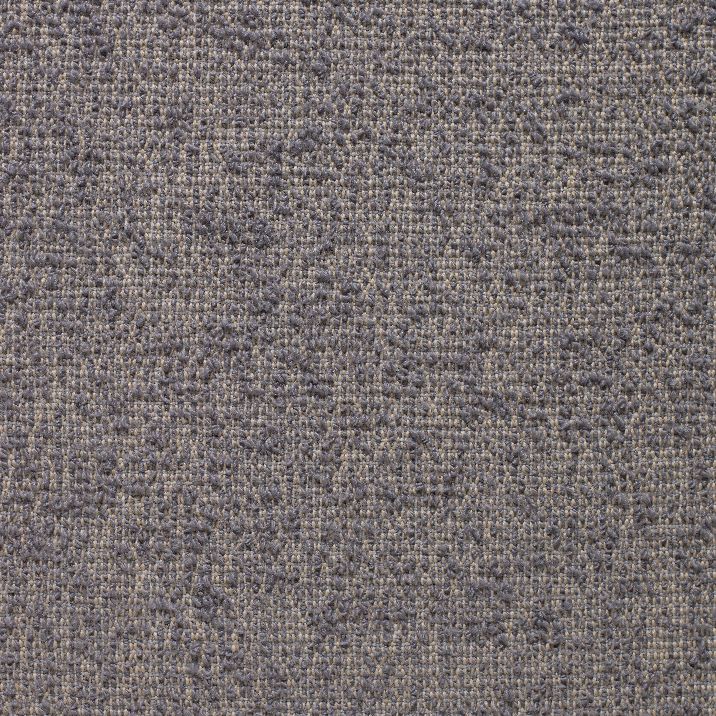 Juniper - Sample