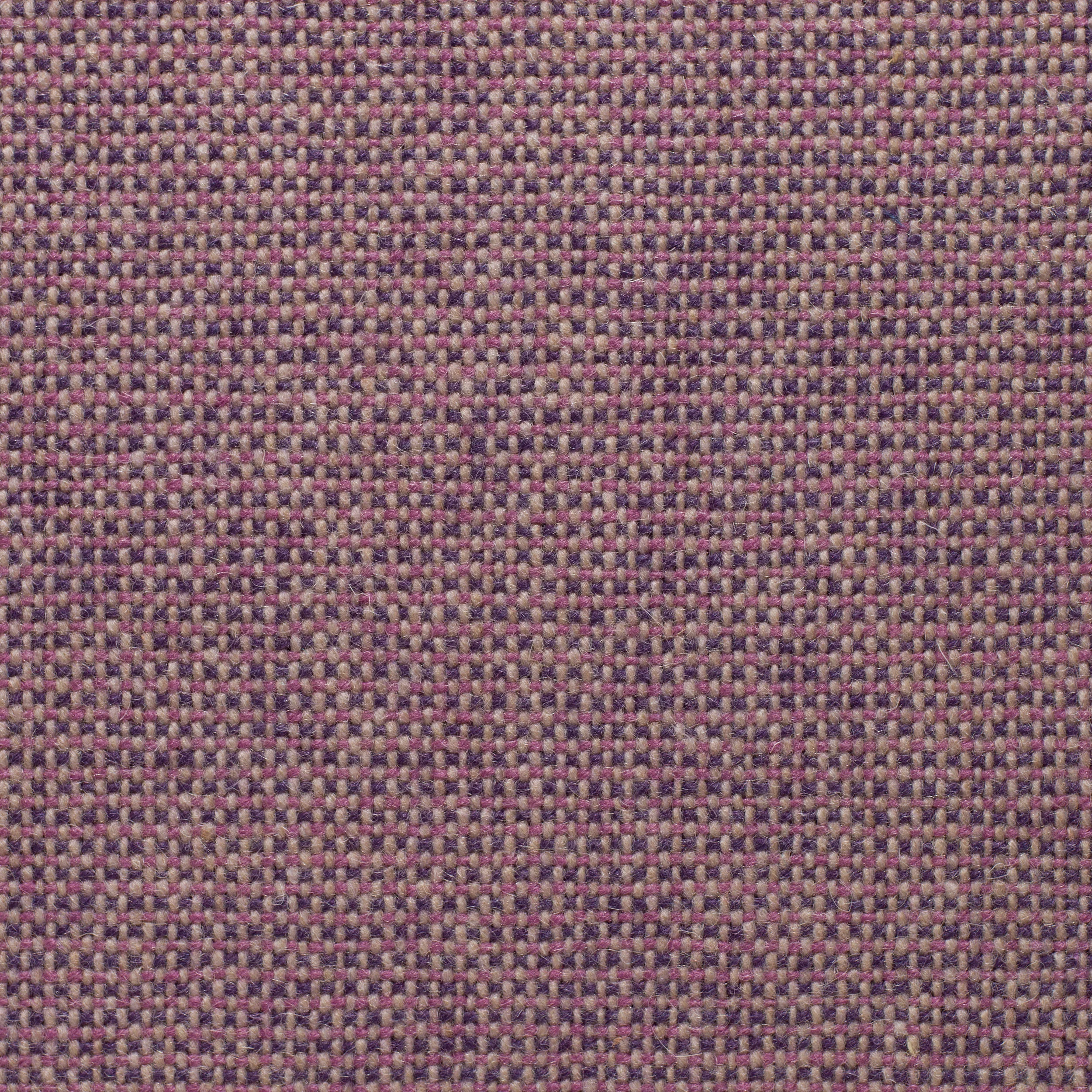 Caelen - Sample