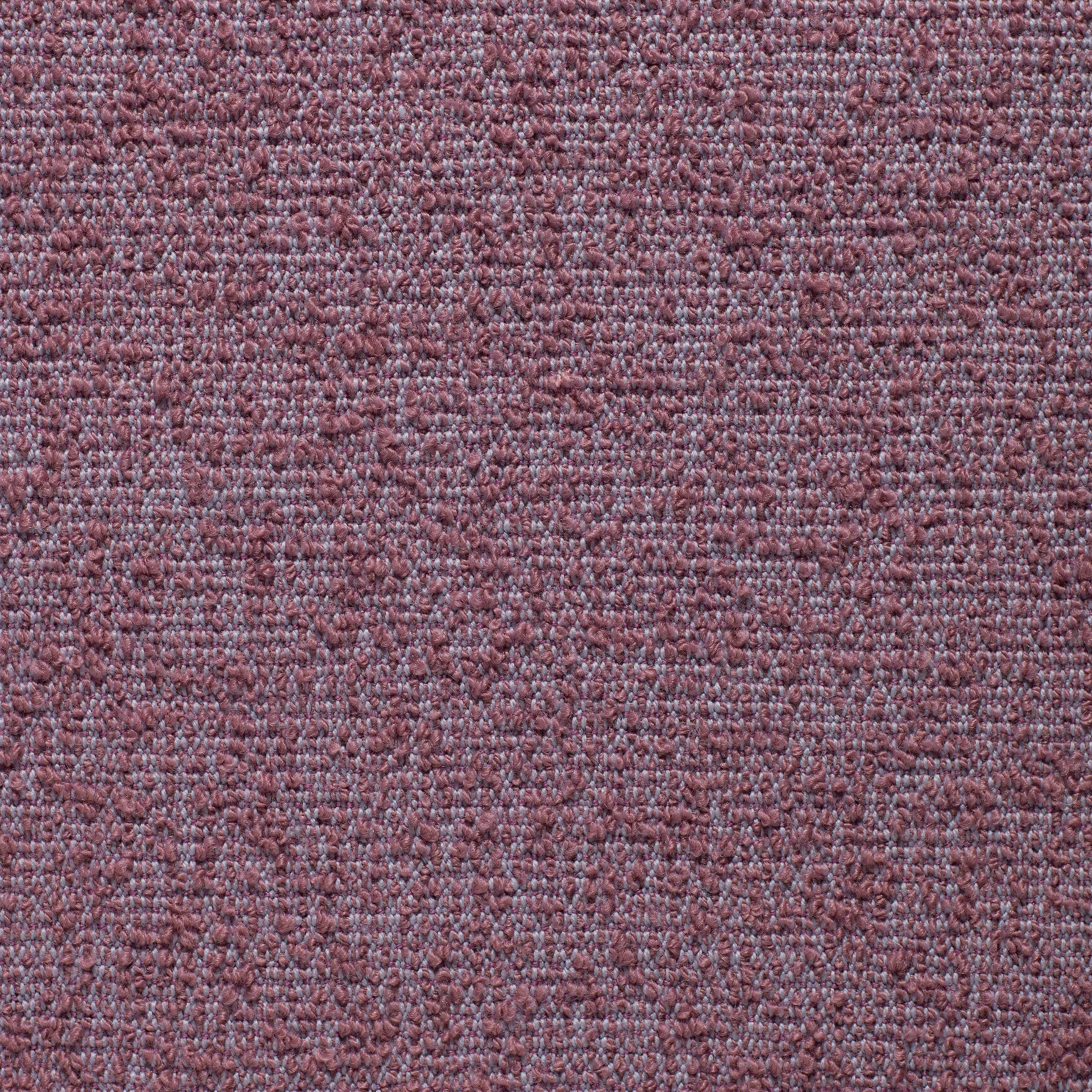 Heather - Sample