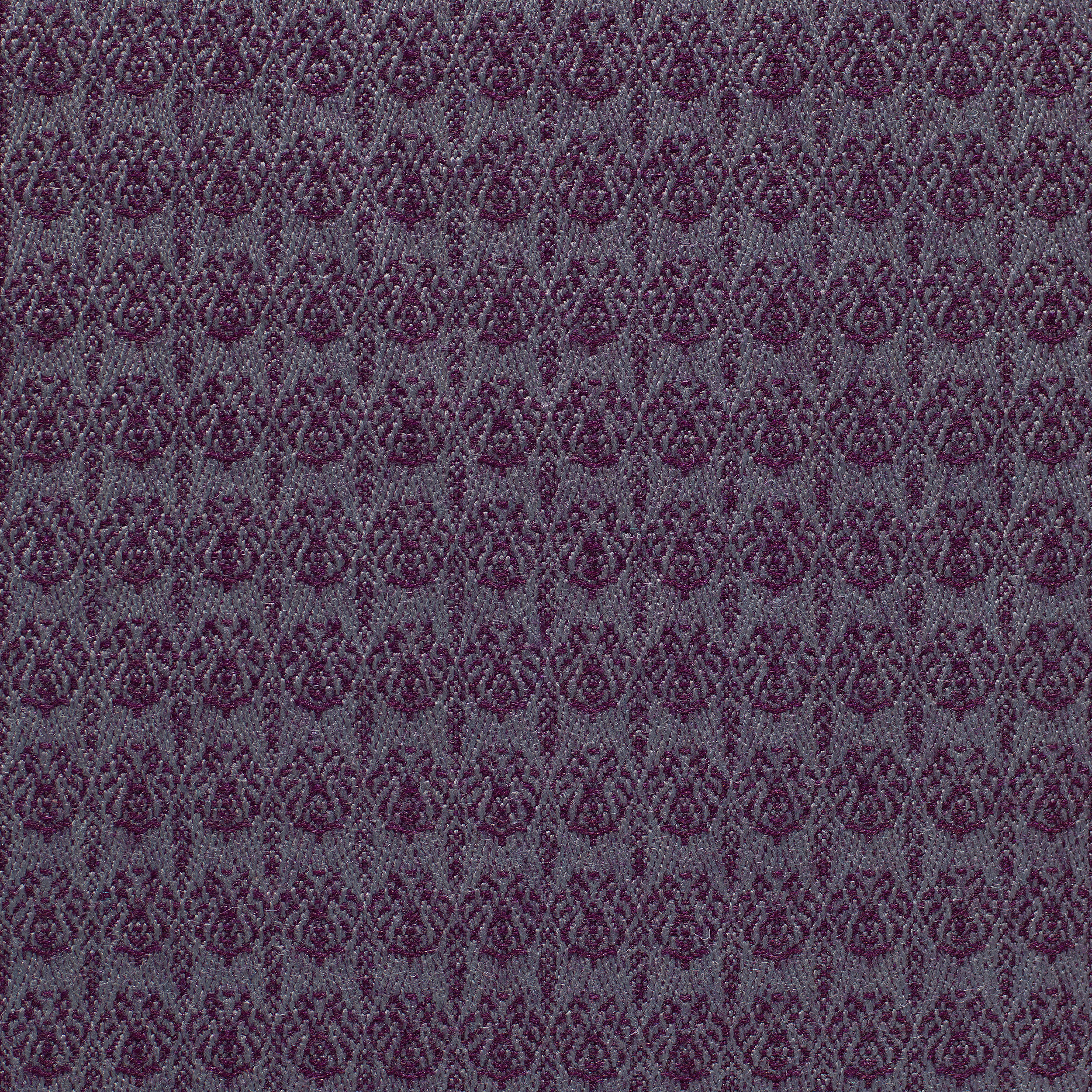 jamie graham 3_0172 Thistle SaraII.jpg