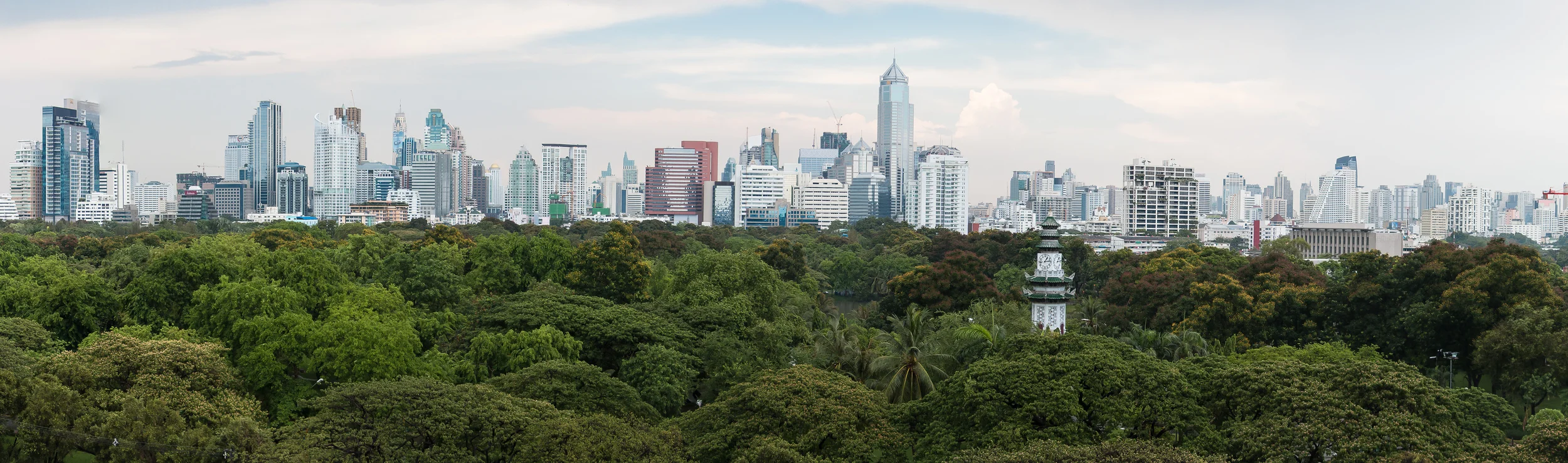 Over Lumphini Park from Sofitel - Bangkok, Thailand