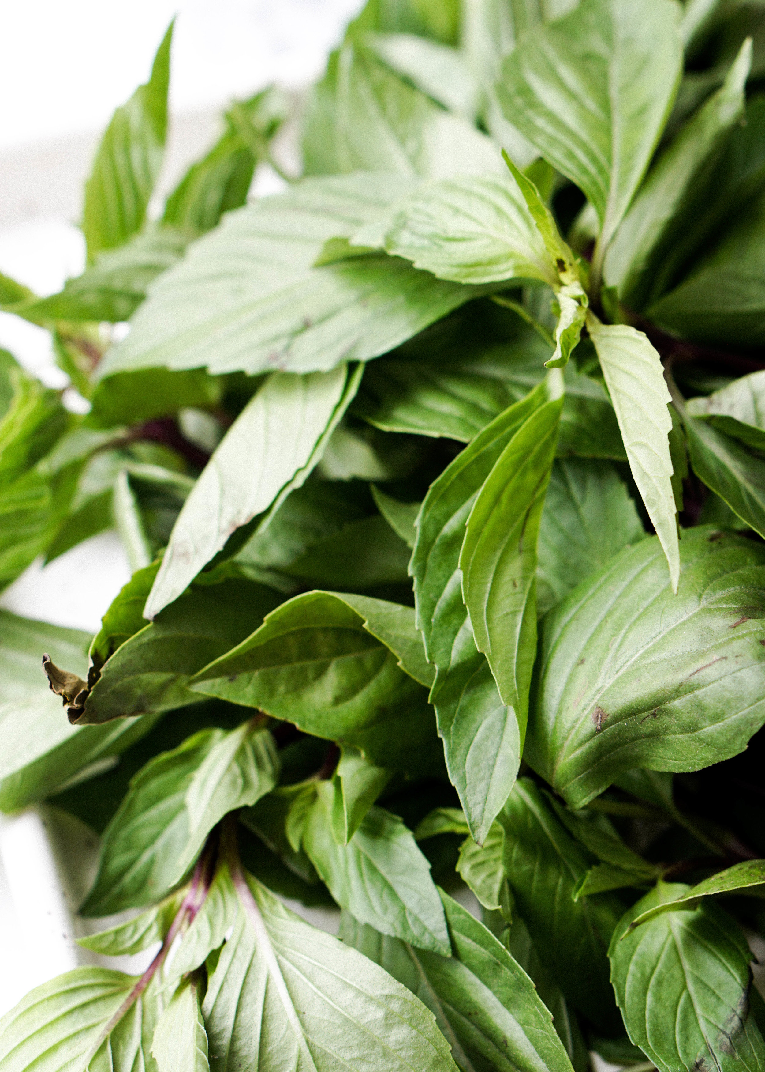 Basil Chicken Dumplings — Eat Cho Food