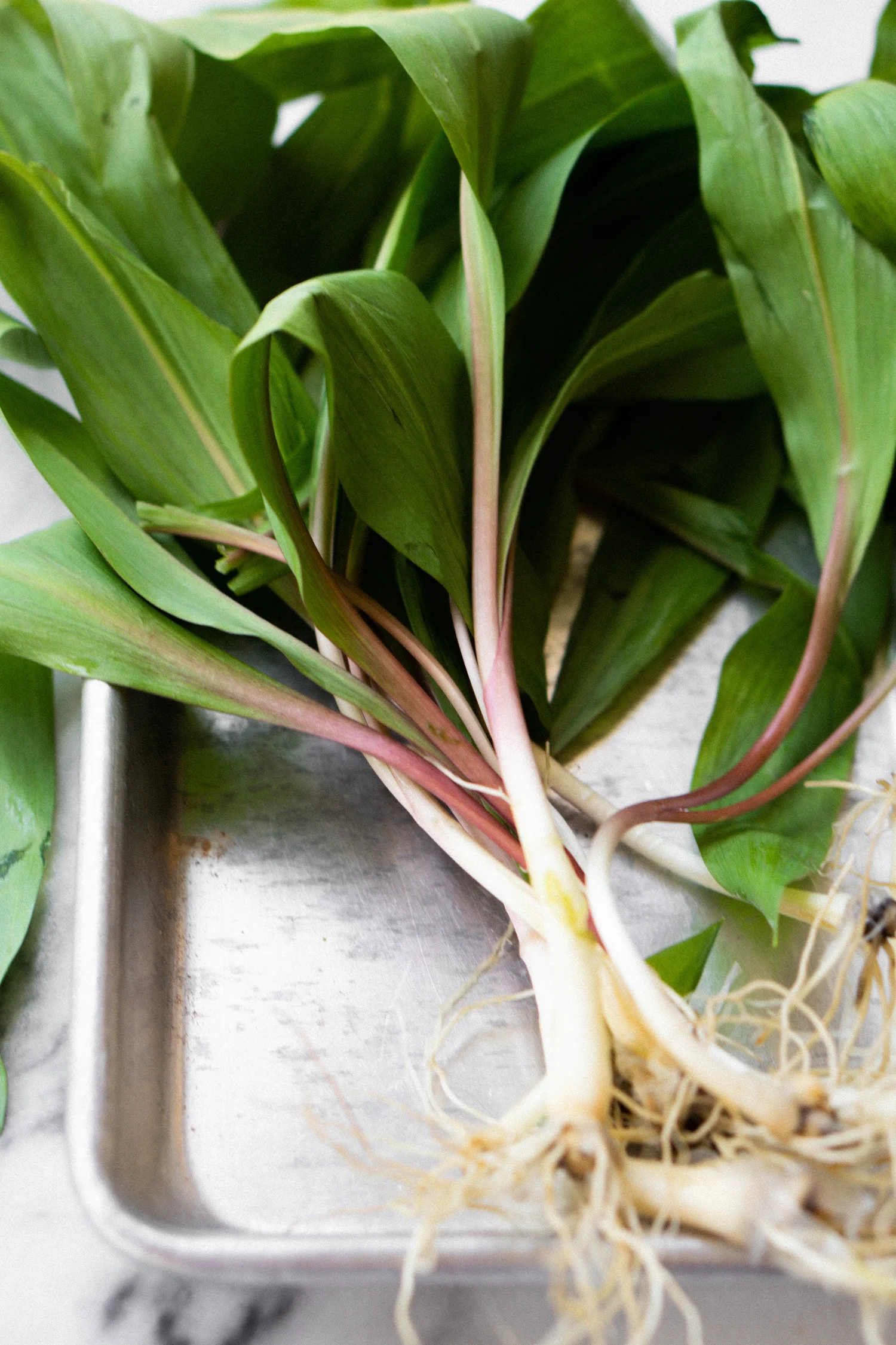 Crispy Egg and Ramp Pockets — Eat Cho Food