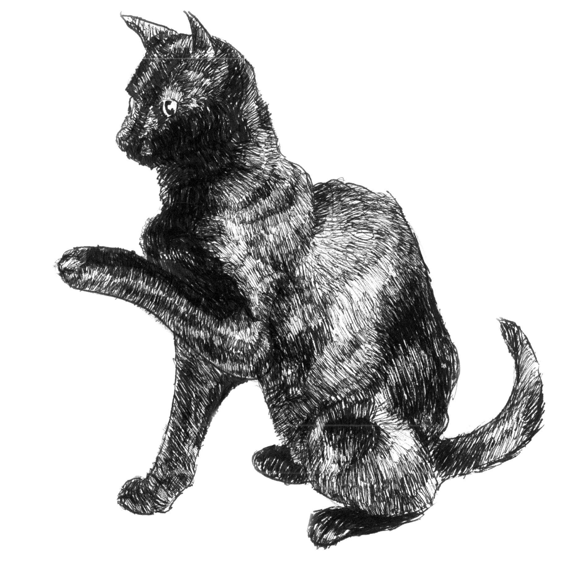 Cats Robocop_done - Copy.jpg