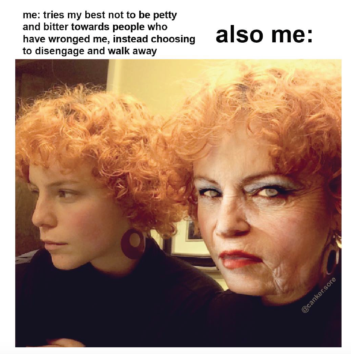 meme4.jpg
